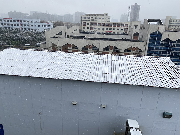 1616372586313495.jpeg 春來.jpg