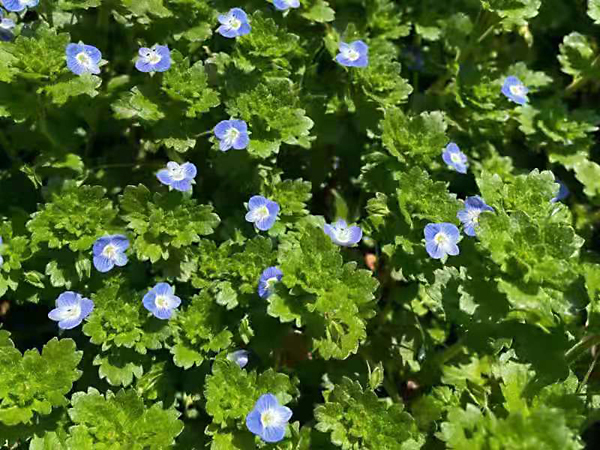 1616763786296967.jpeg bc7182b5a0cccc5a125c0931a66785b.jpg