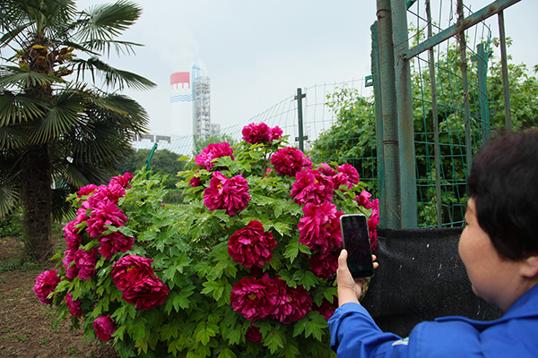 1617929453154262.jpeg IMG_1214600.jpg