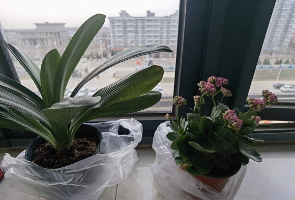 1648544915394354.jpeg 圖1.jpg