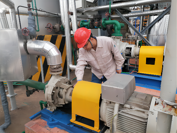 1667353480251368.png 支部書記帶隊檢查現場(1).png