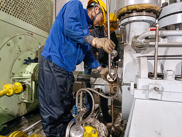 1682297053111631.jpeg 4.jpg