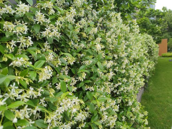 1683361360865717.jpeg 微信圖片_20230506162146.jpg