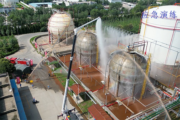 1687341131215019.jpeg 3   600.jpg