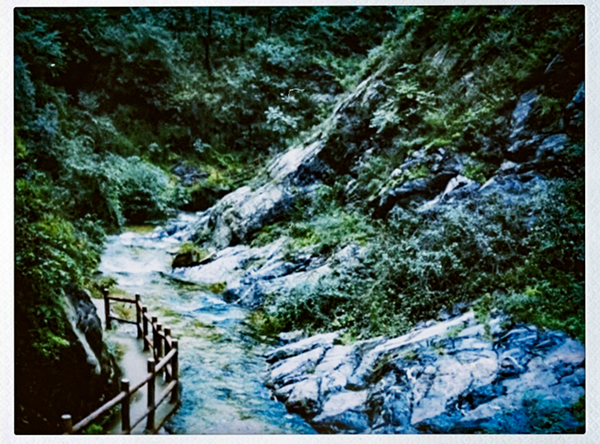 1690886852797056.jpeg 0f997290aa998b4ad7f906fe4ab3040.jpg