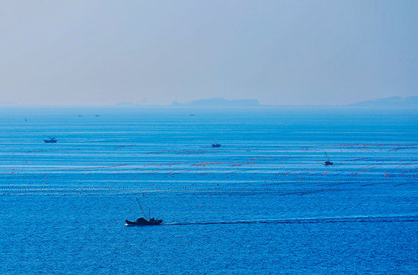 1695167762781947.jpeg 淡云攝影作品《海》 (2).jpg