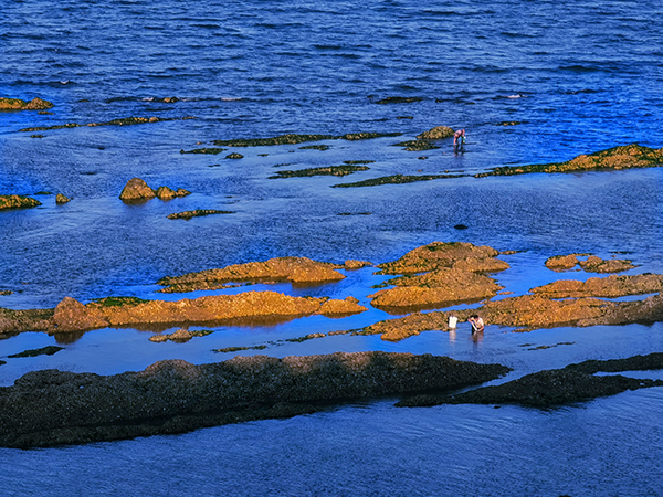 1695167774365654.jpeg 淡云攝影作品《海》 (3).jpg