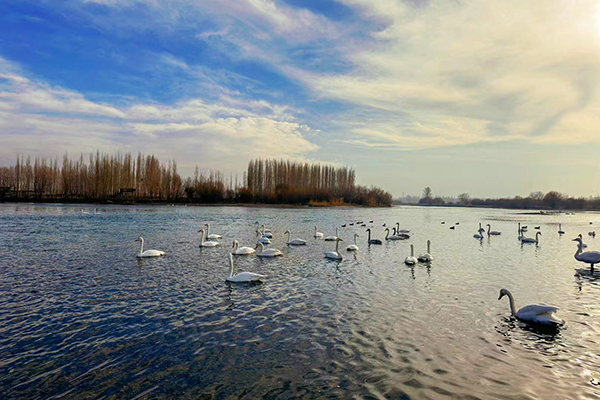 1702866381628924.jpeg 2e80c1b38fb678e7d43190bc2107556.jpg