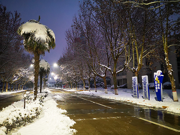 1705372270915111.jpeg d8335ed2dc058f6d3772975456397d8 600.jpg