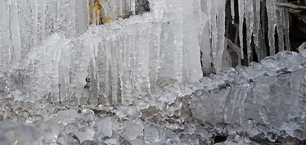 1706077674345091.jpeg 冬之精靈3.jpg