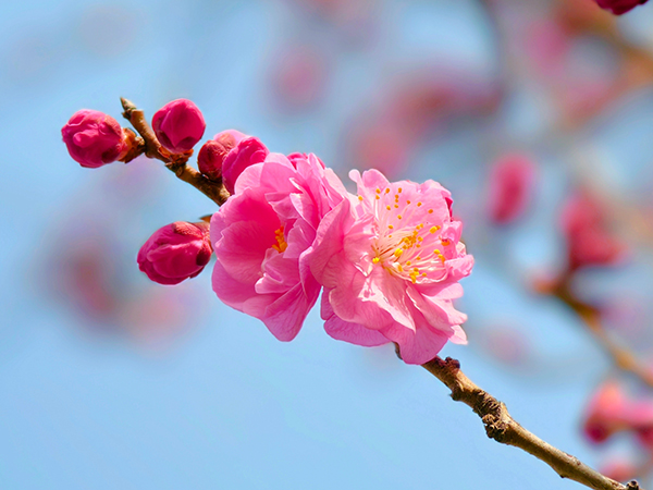 1711015183698783.jpeg 1 600.jpg