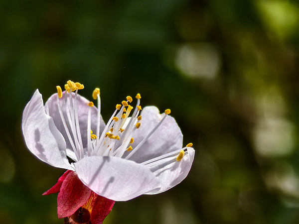 1711015197782282.jpeg 2 600.jpg