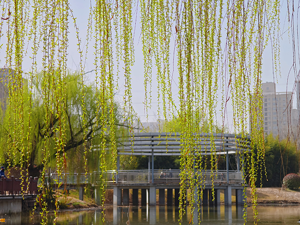 1711015231526667.jpeg 5 600.jpg