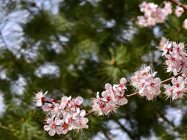 1711015267309727.jpeg 8 600.jpg