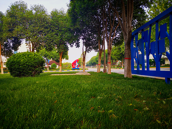 1713766460932314.jpeg 2d6813f8aa1538a0f2e9df3c0c5eca3.jpg