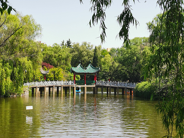 071746605089142273.jpg 東湖內湖,5月2日拍.jpg