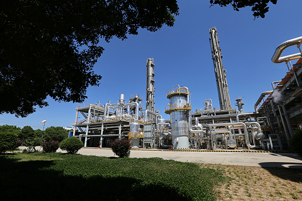 271750986648144541.jpg IMG_8541.JPG