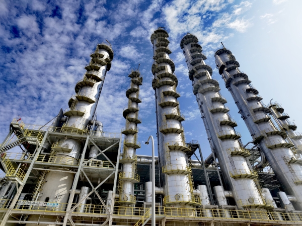 261756191550253718.jpg IMG_20241025_111253_edit_5727325774646.jpg