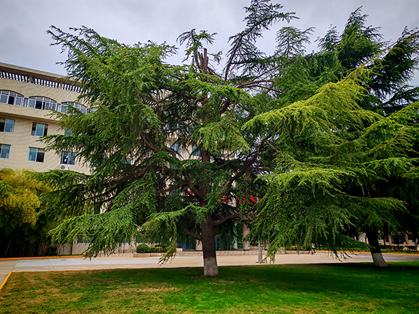 111757549786383805.jpg dfaa73042b57466dc905f1246eb7caaa   600.jpg