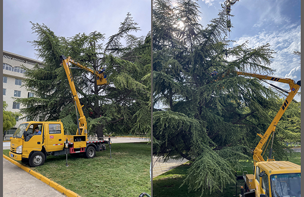 111757549834211792.jpg 1968d0274fb588dbbaf4c163f7830882  副圖  600.jpg