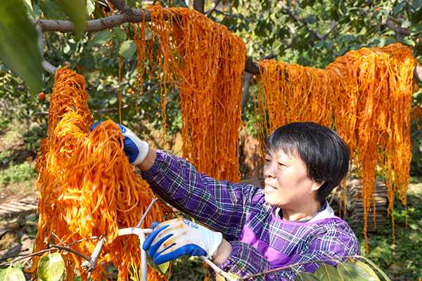 281761659901130187.jpg fadb26a82ed1b2c1e595c2a8dee5cd85  600.jpg